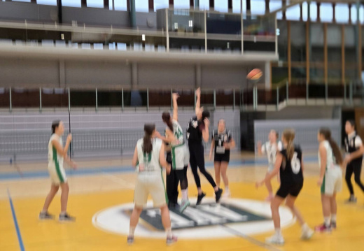REGIJSKO TEKMOVANJE V KOŠARKI ZA STAREJŠE DEKLICE