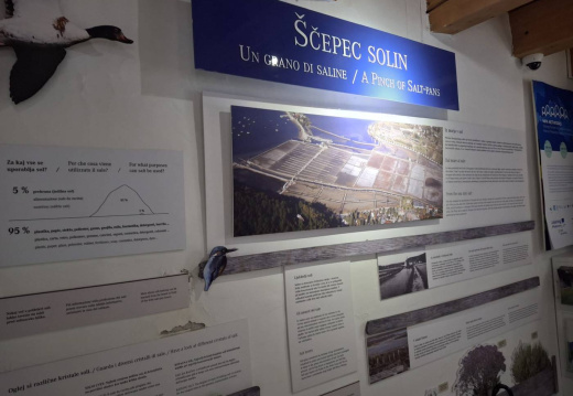 CŠOD BURJA 1in2 dan 2026 02